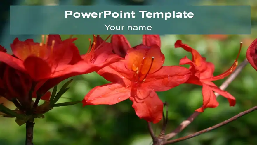 Dew-soaked Flowers Template