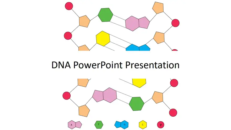 DNA PowerPoint Template