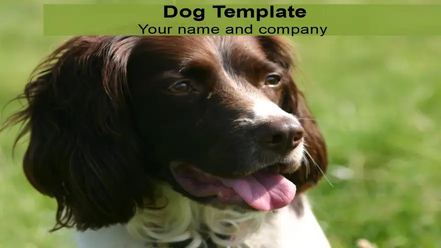 Dog PowerPoint Template
