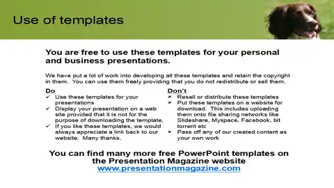 Dog PowerPoint Template