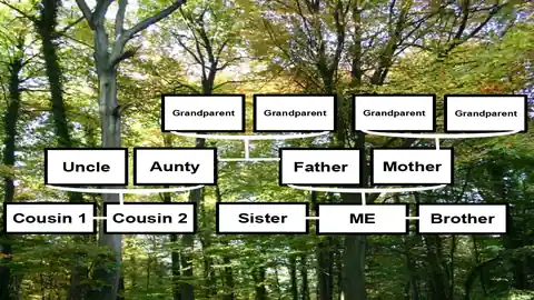 Family Tree Template