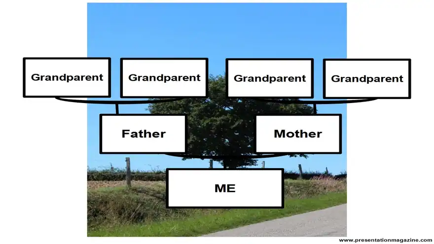 Family Tree Template