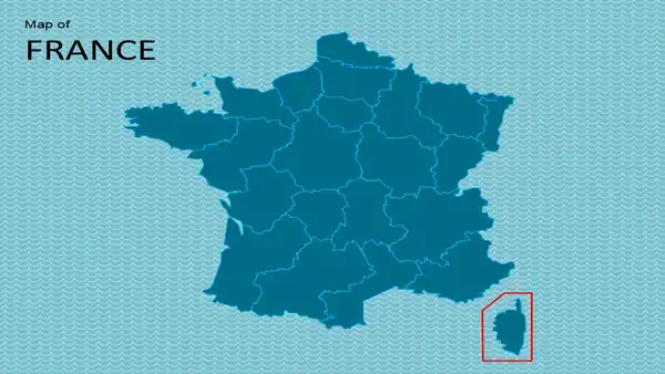 Flag of France Template