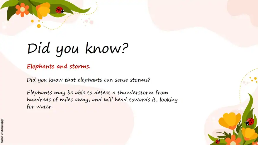 Flowers and Ladybugs free slides template.