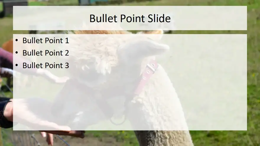 Fluffy Alpaca PowerPoint Presentation