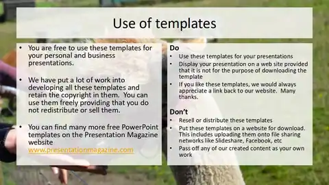 Fluffy Alpaca PowerPoint Presentation