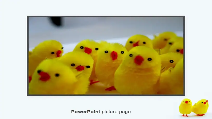 Fluffy Chicks Template