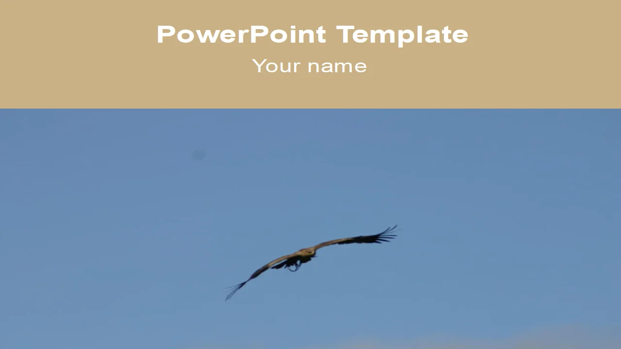 Flying Bird Template