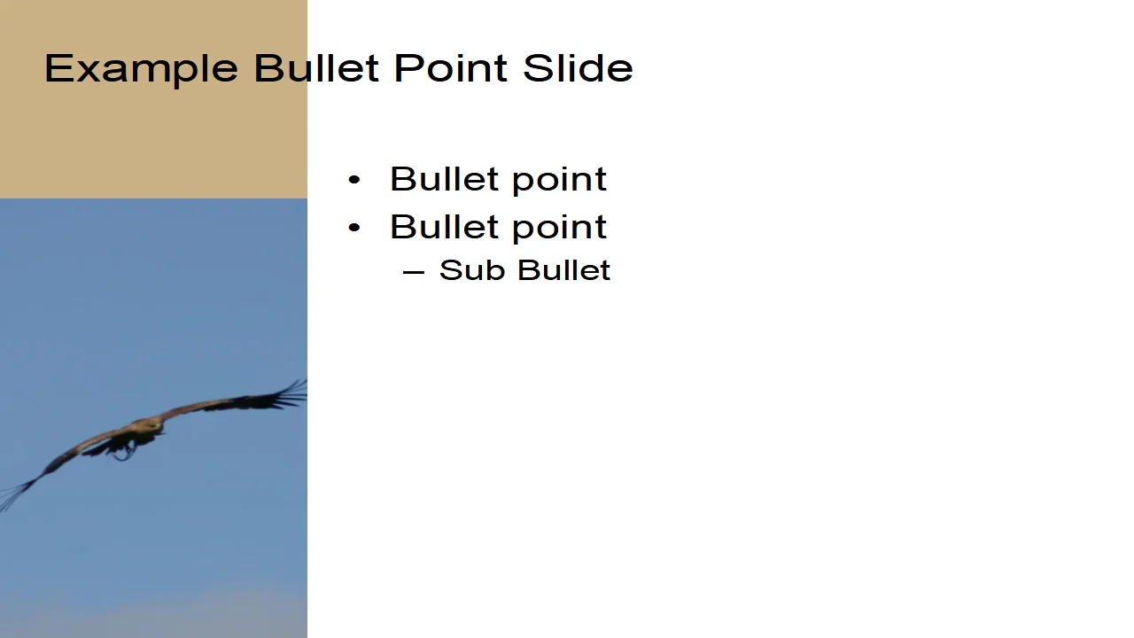 Flying Bird Template
