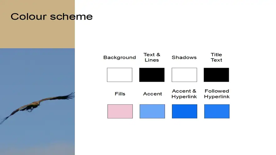 Flying Bird Template