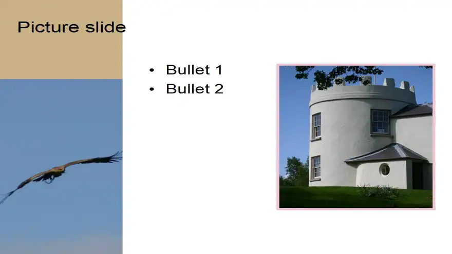 Flying Bird Template