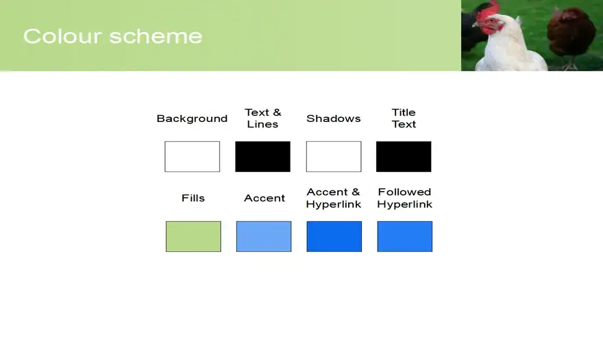 Free Chicken PowerPoint Template