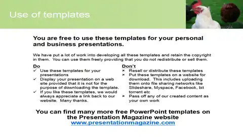 Free Chicken PowerPoint Template