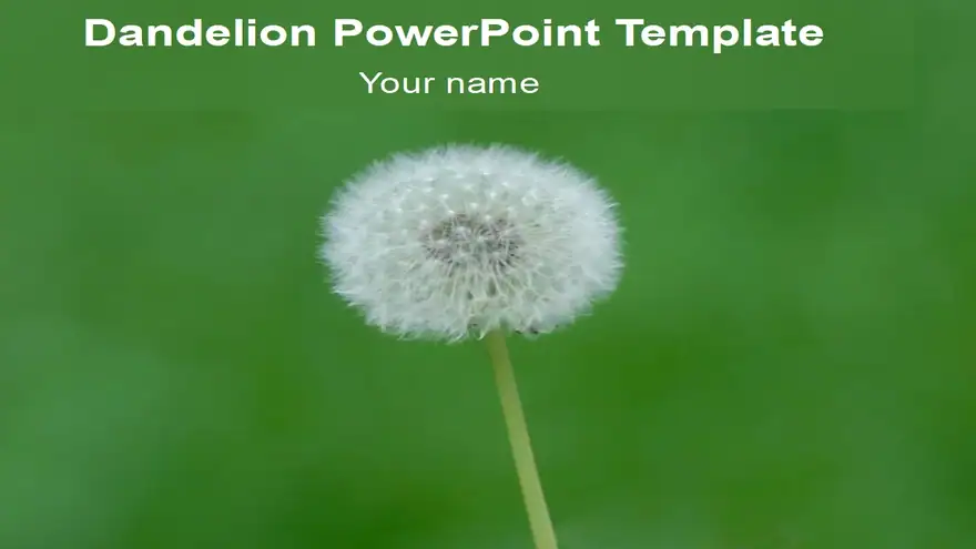 Free Dandelion PowerPoint Template