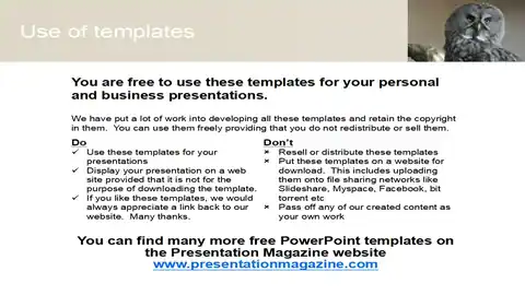Free Owl PowerPoint Template