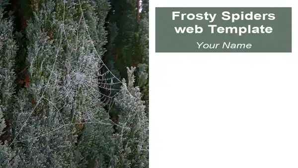 Frosty Spider’s Web Template
