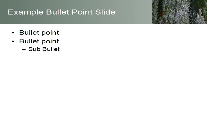 Frosty Spider’s Web Template
