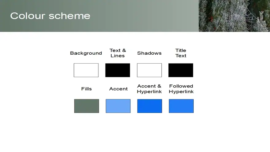Frosty Spider’s Web Template