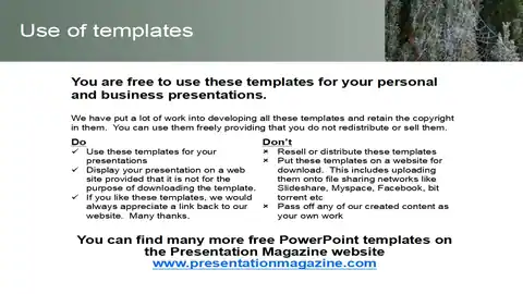 Frosty Spider’s Web Template
