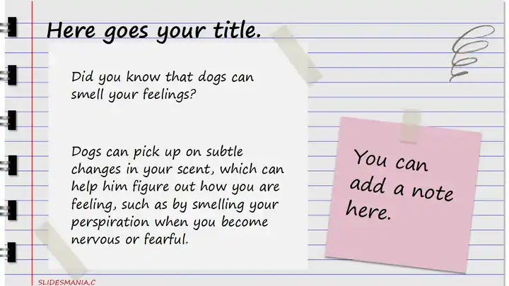 Fry template, cute notebook with colorful sticky notes.