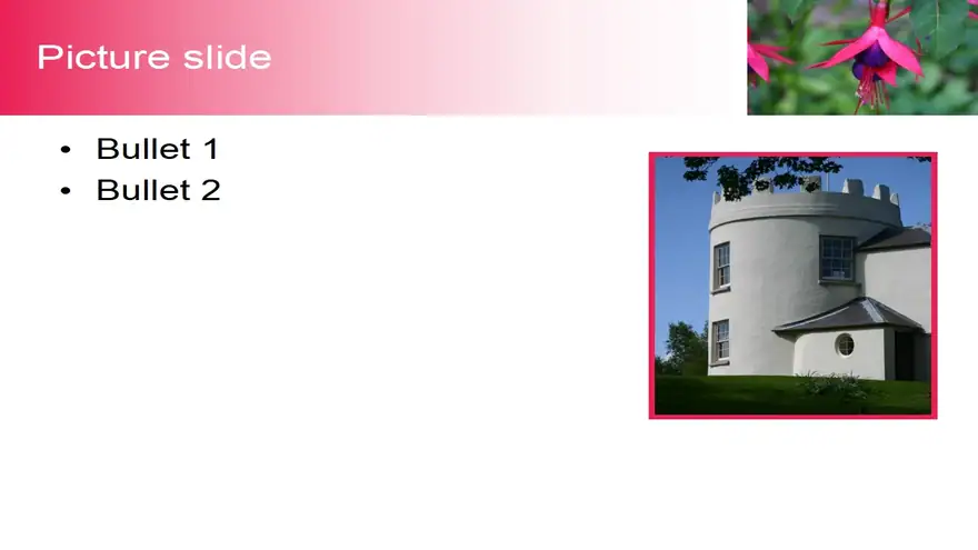 Fuchsia PowerPoint Template