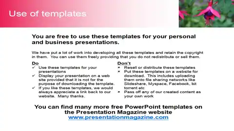 Fuchsia PowerPoint Template