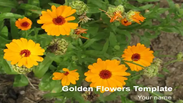 Golden Flowers Template