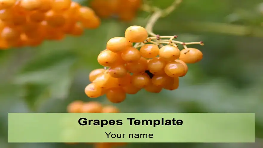 Grapes PowerPoint Template