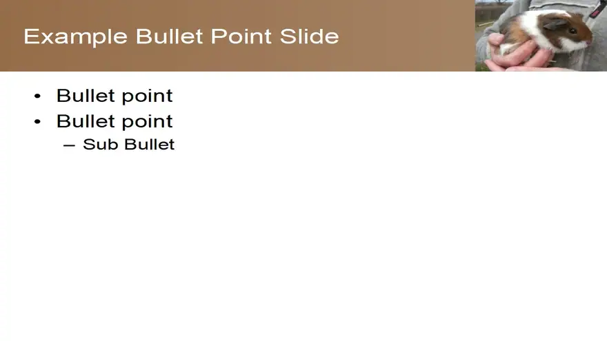 Guinea Pig PowerPoint Template