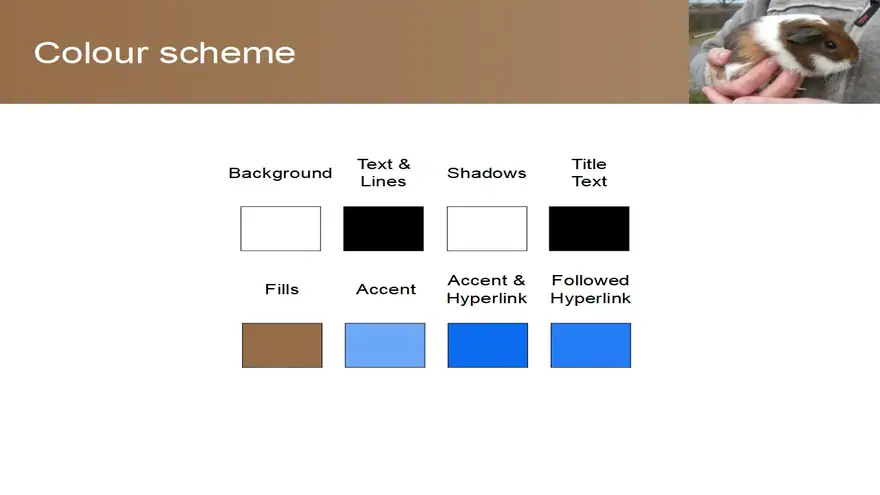 Guinea Pig PowerPoint Template