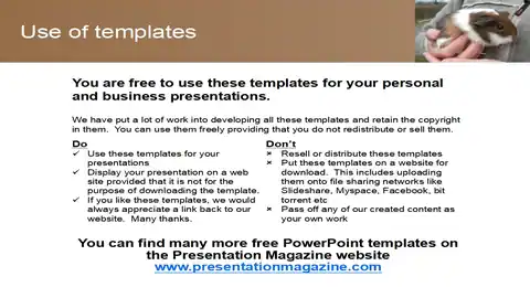 Guinea Pig PowerPoint Template