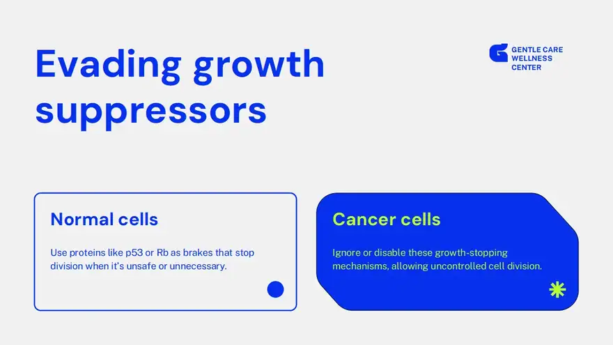 Hallmarks of Cancer Slides