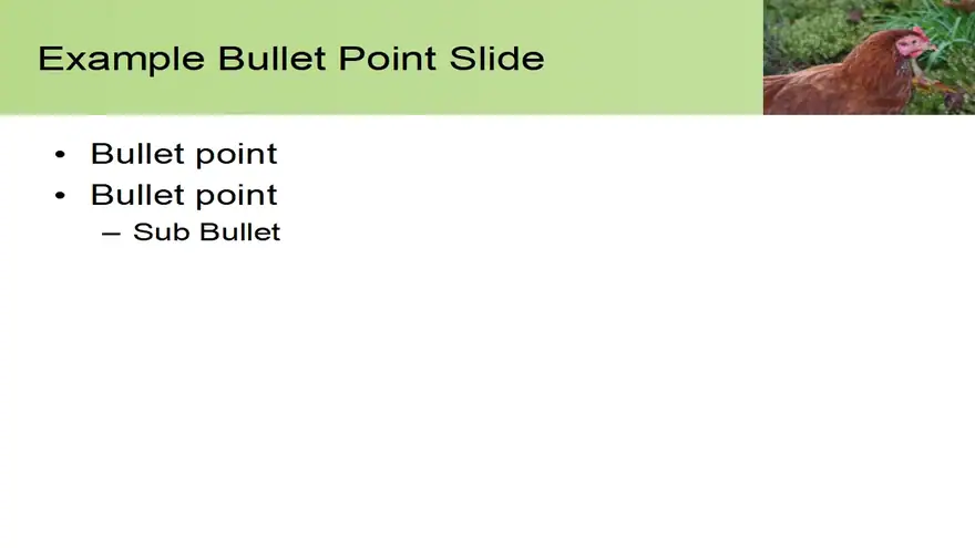 Hen PowerPoint Template