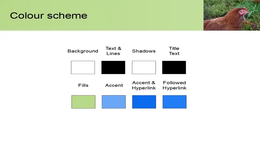 Hen PowerPoint Template