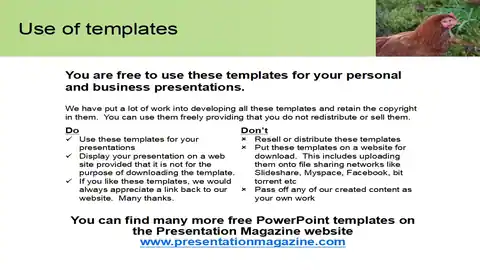 Hen PowerPoint Template