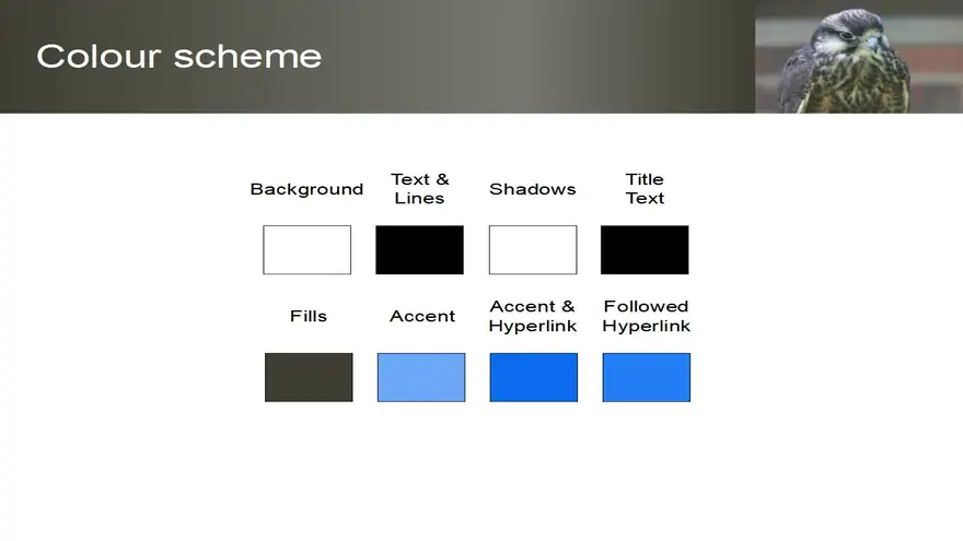 Hobby Bird of Prey Template