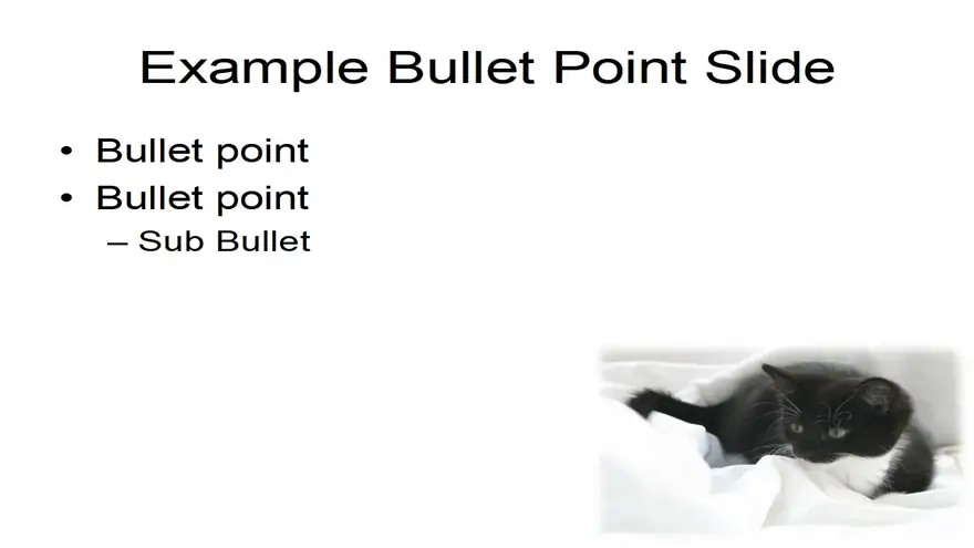 Kitten PowerPoint Template