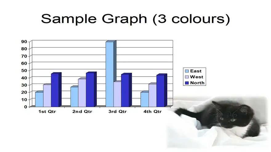 Kitten PowerPoint Template