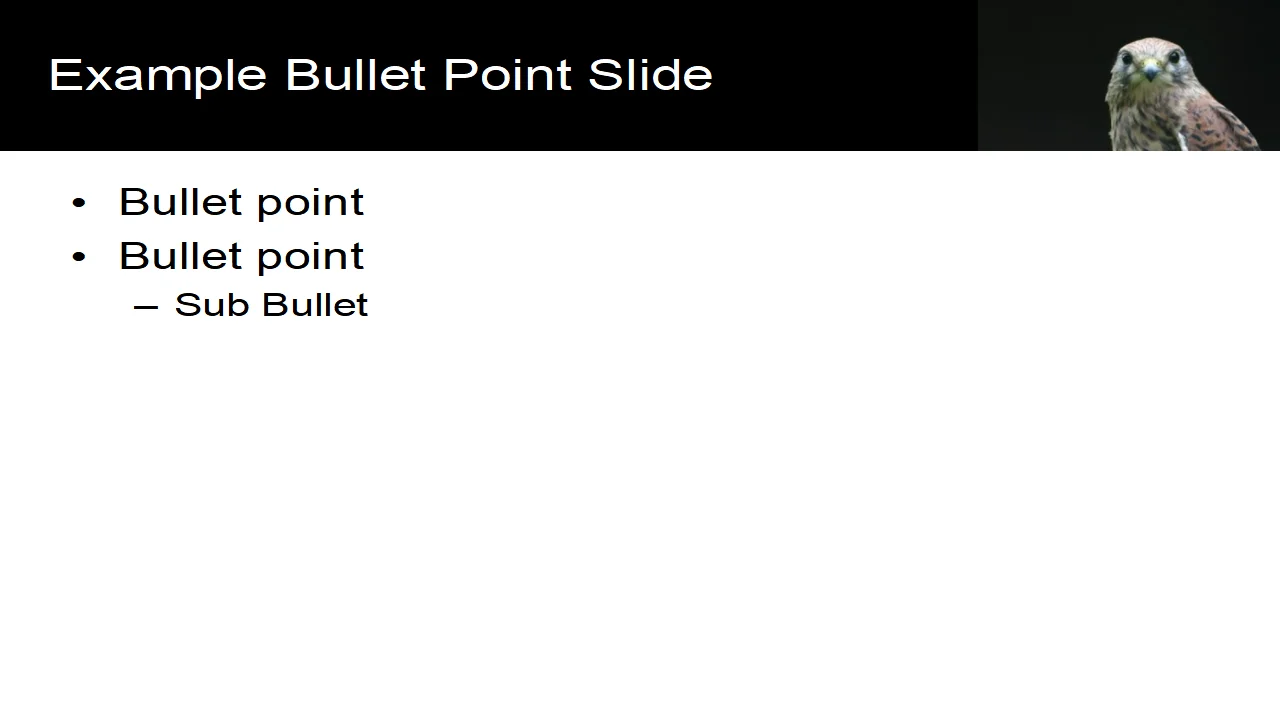 Looking Bird PowerPoint Template