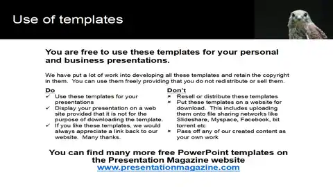 Looking Bird PowerPoint Template