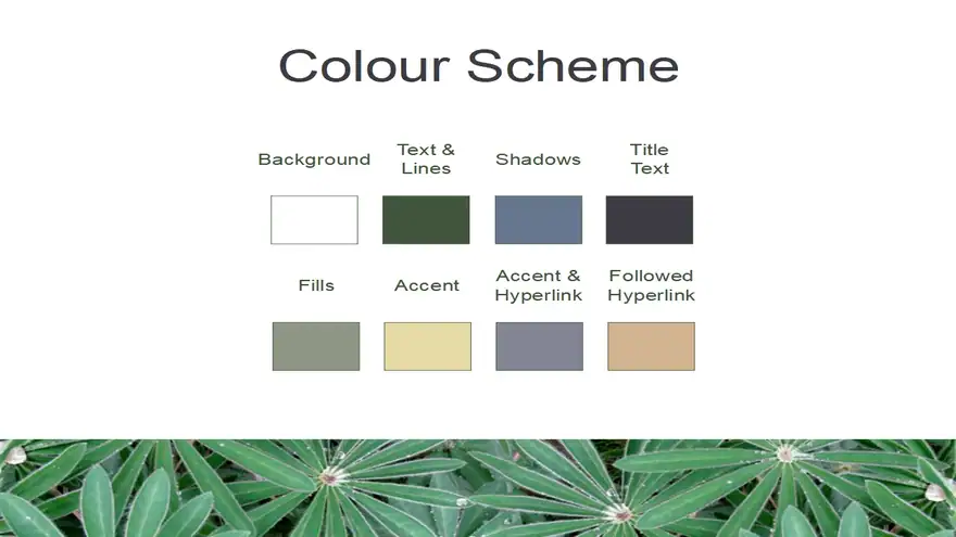 Lupins PowerPoint Template