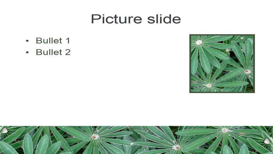 Lupins PowerPoint Template