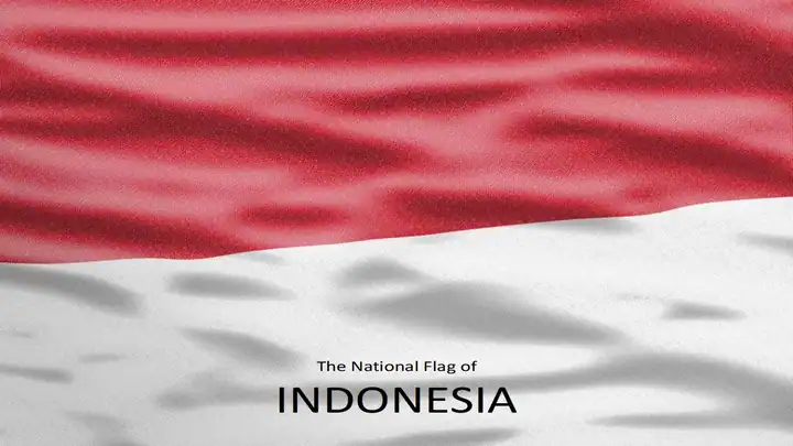 Map of Indonesia Template