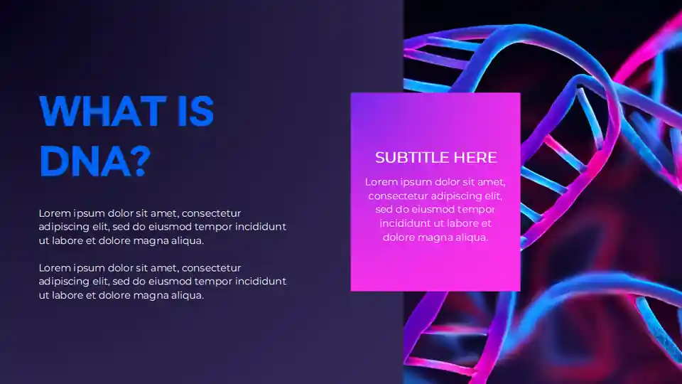Neon DNA: The Human Body Recipe Slides
