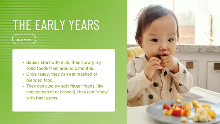 Nutrition and Life Stages Slides