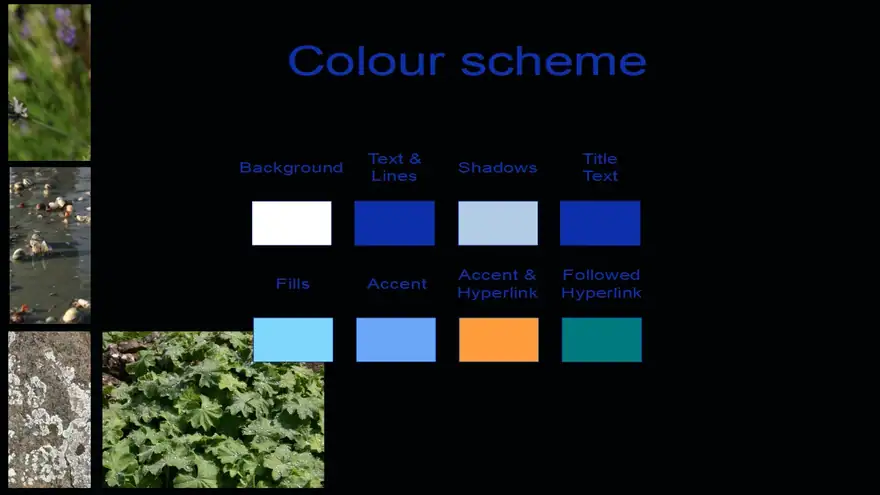 Photo Collage Template