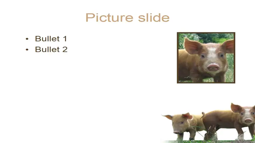 Piglet PowerPoint Template