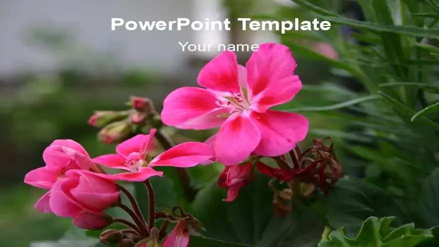 Pretty Flower Template
