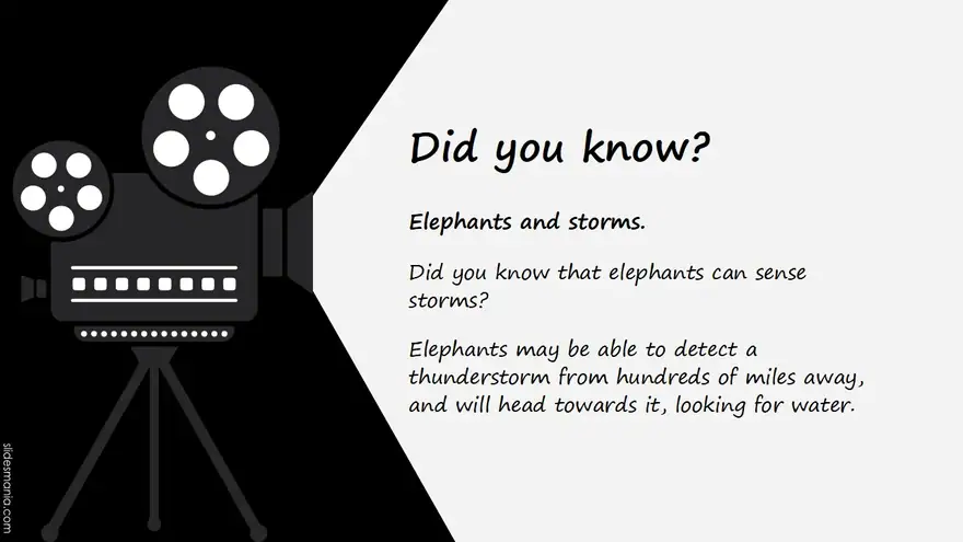 Russo. Clapperboard free presentation theme. Updated Template.