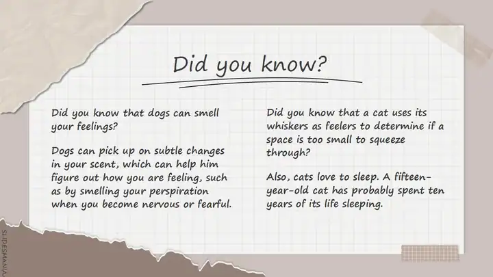 Scrap paper notes, cute presentation template.